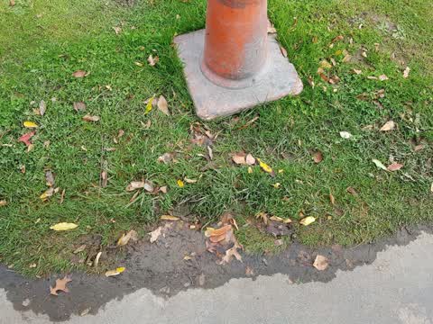 Flooding, a report photo