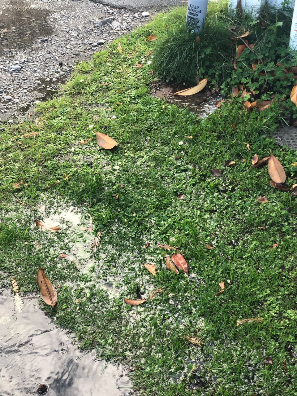 The photograph attached to this water supply report