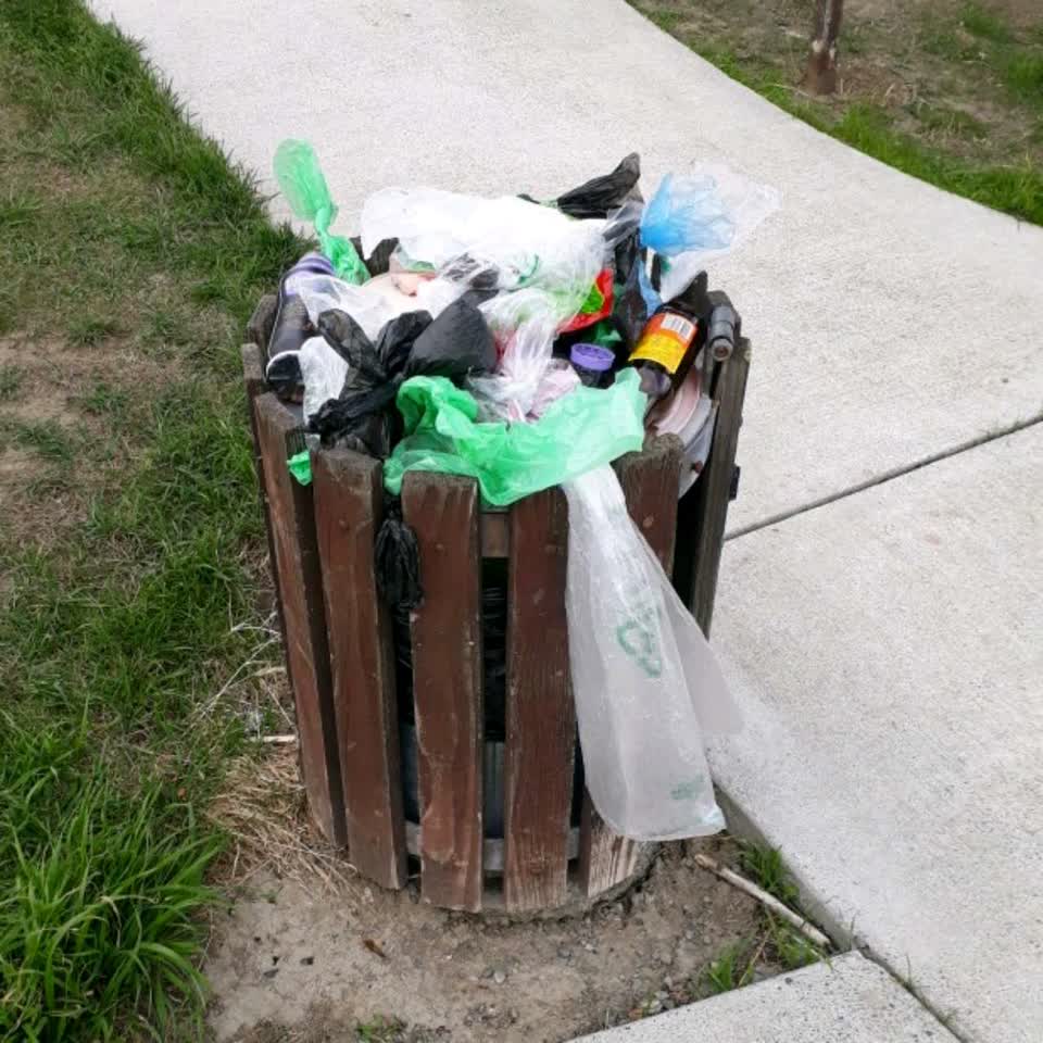 The photograph attached to this rubbish/recycling report