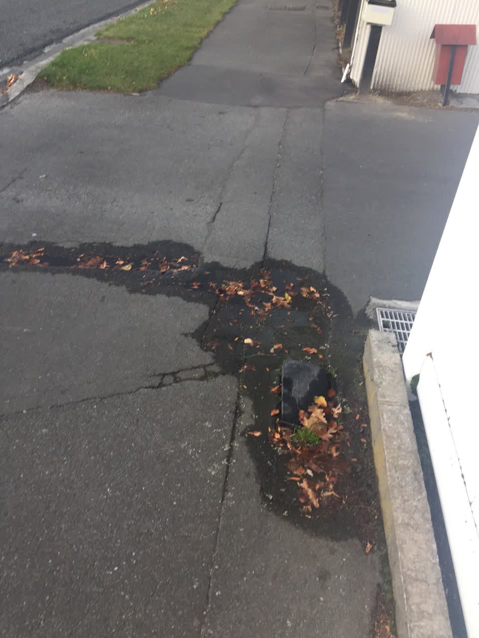 The photograph attached to this water supply report