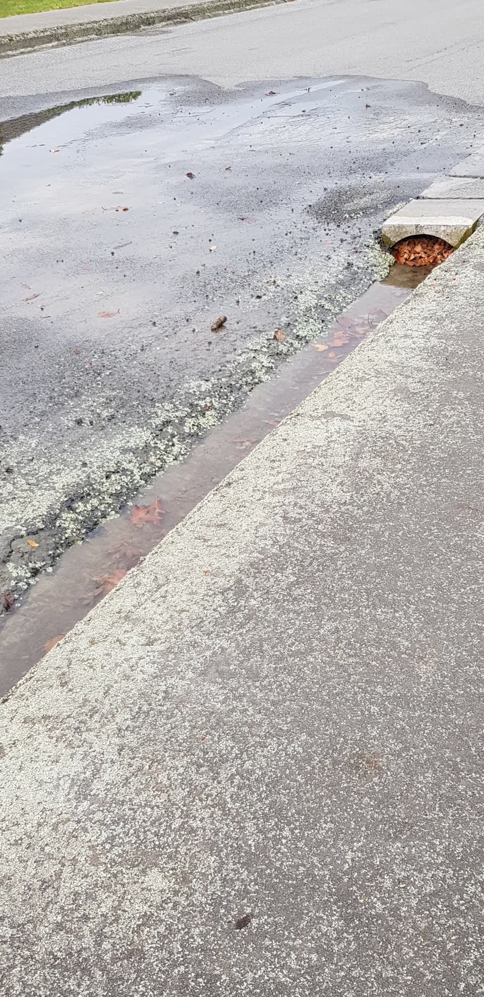The photograph attached to this wastewater/stormwater report