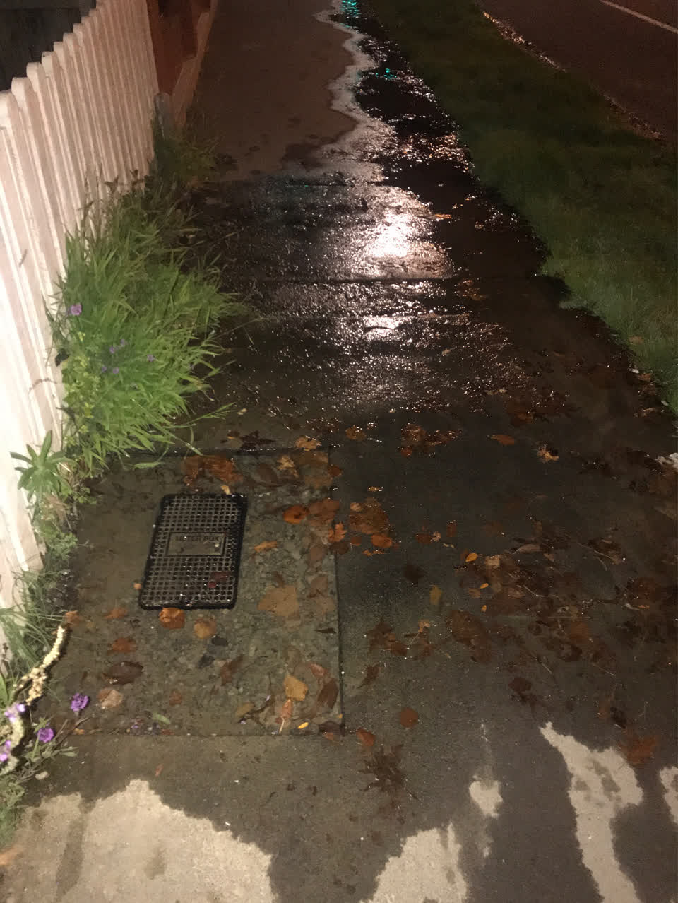 The photograph attached to this water supply report
