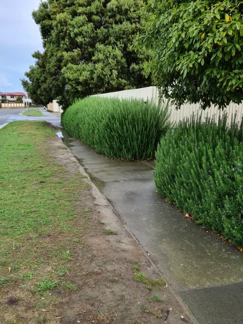 Roading/Streets, a report photo