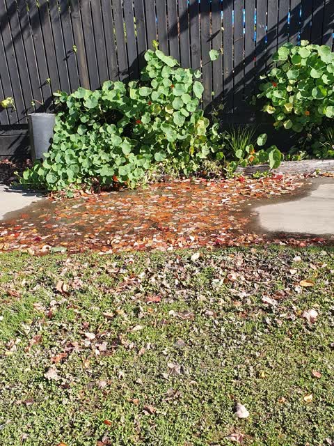 Wastewater/Stormwater, a report photo
