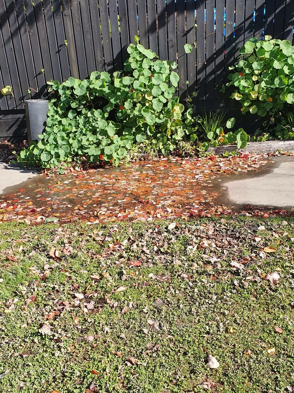 The photograph attached to this wastewater/stormwater report