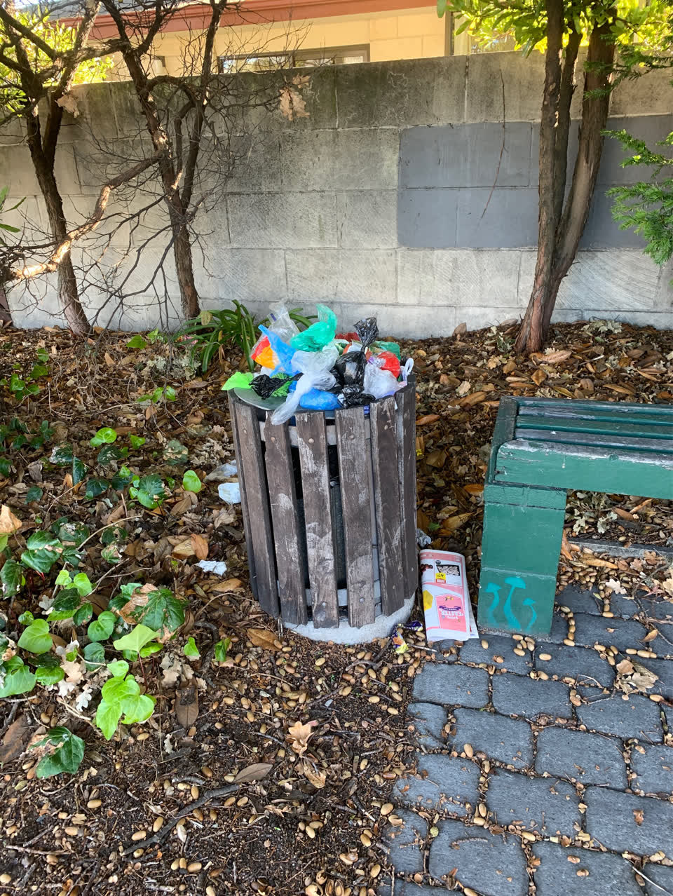The photograph attached to this rubbish/recycling report