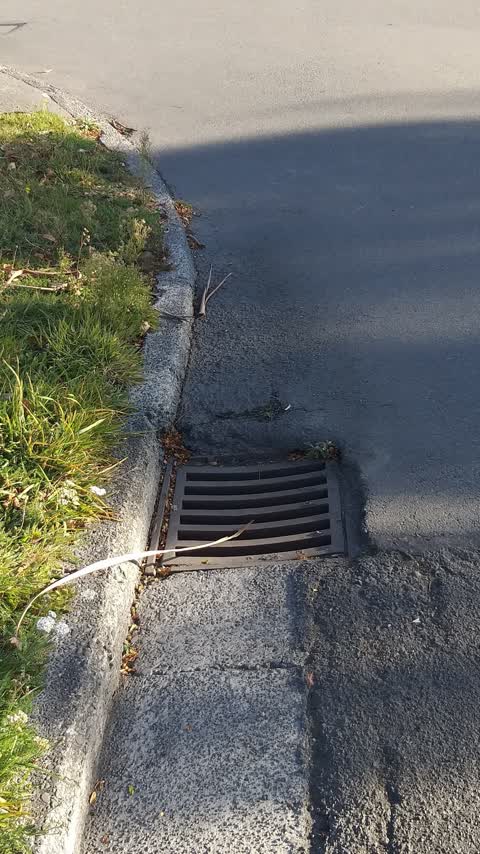 Wastewater/Stormwater, a report photo