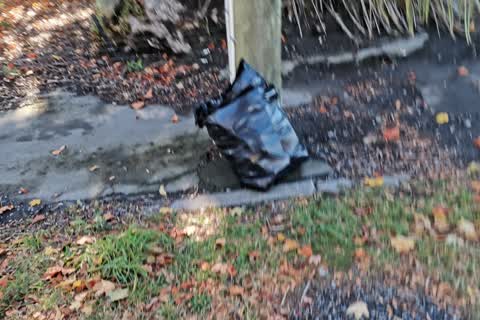 Rubbish/Recycling, a report photo
