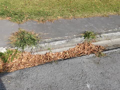 Roading/Streets, a report photo