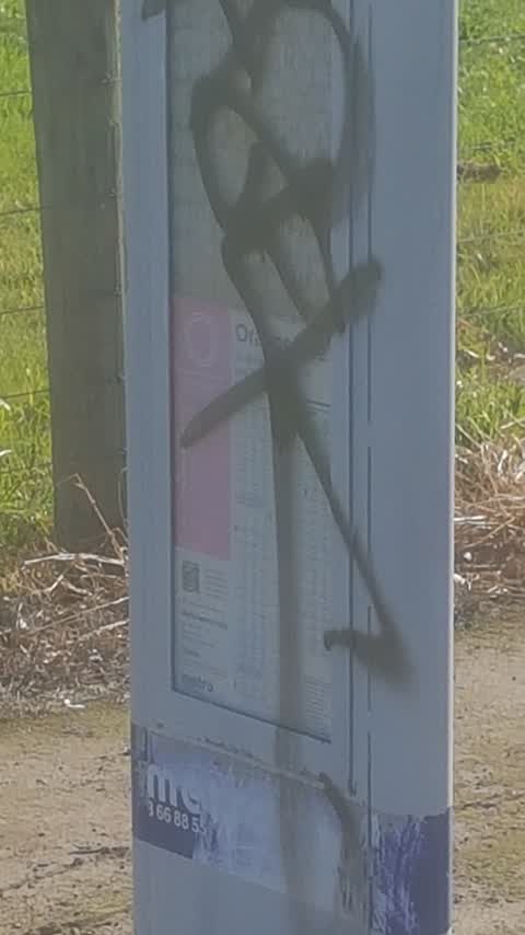 Graffiti, a report photo