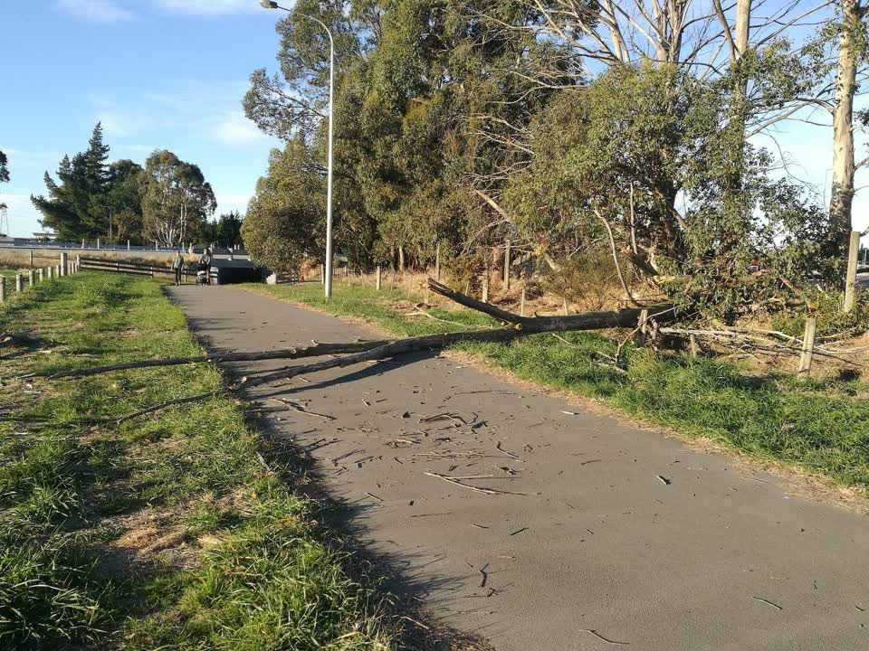 The photograph attached to this parks report