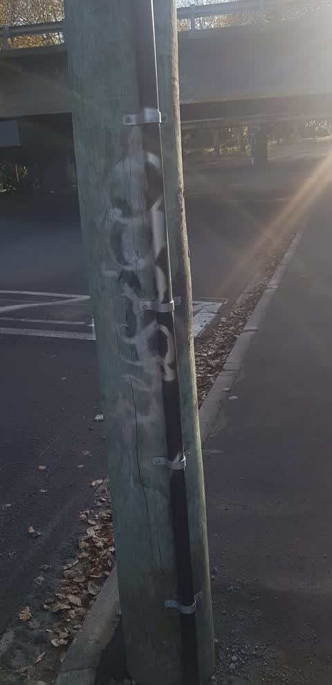 Graffiti, a report photo