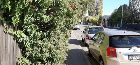Roading/Streets, a report photo