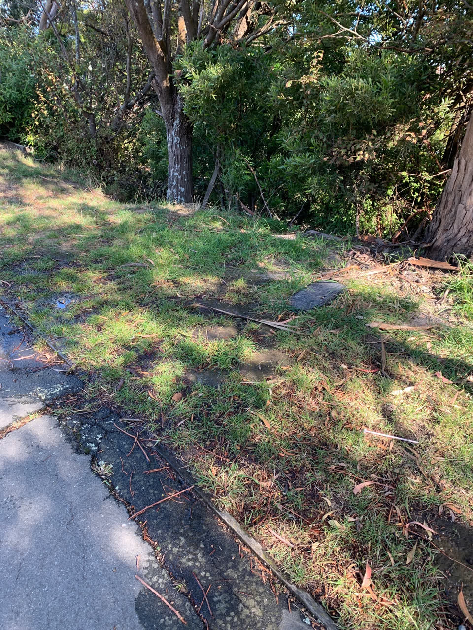 The photograph attached to this water supply report