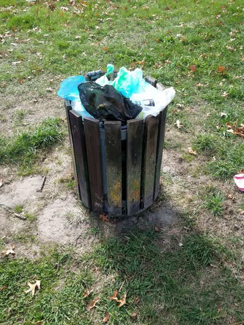 Rubbish/Recycling — a report photo