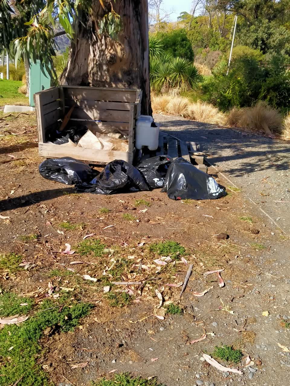 The photograph attached to this rubbish/recycling report