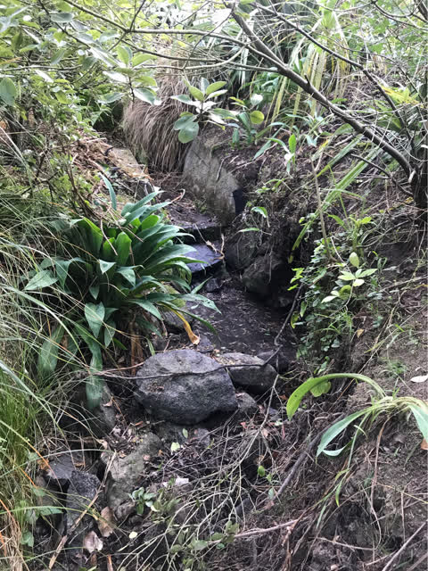 Wastewater/Stormwater, a report photo