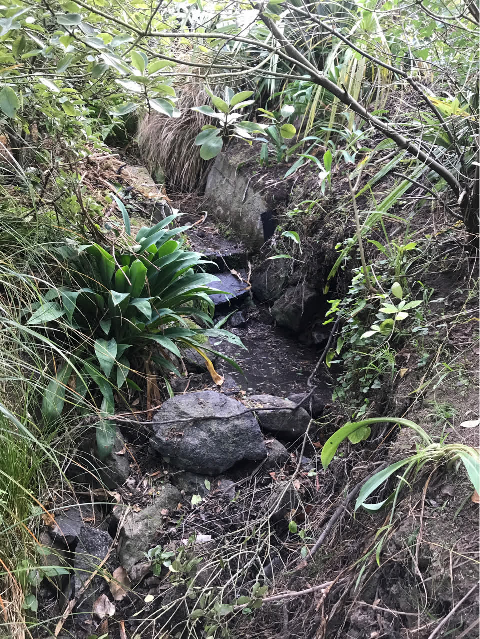 The photograph attached to this wastewater/stormwater report