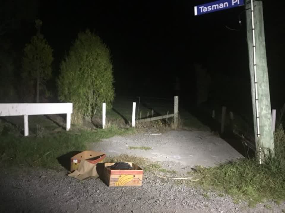 The photograph attached to this rubbish/recycling report