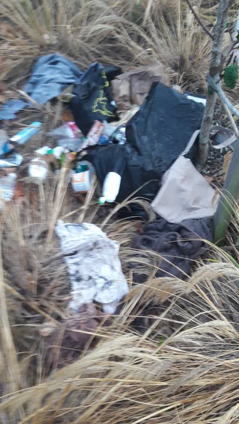 Rubbish/Recycling, a report photo