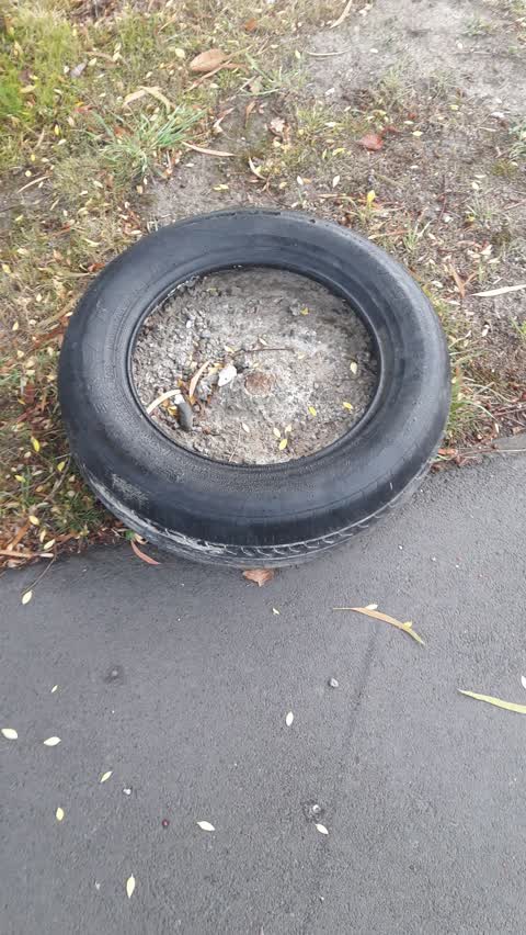 Rubbish/Recycling, a report photo