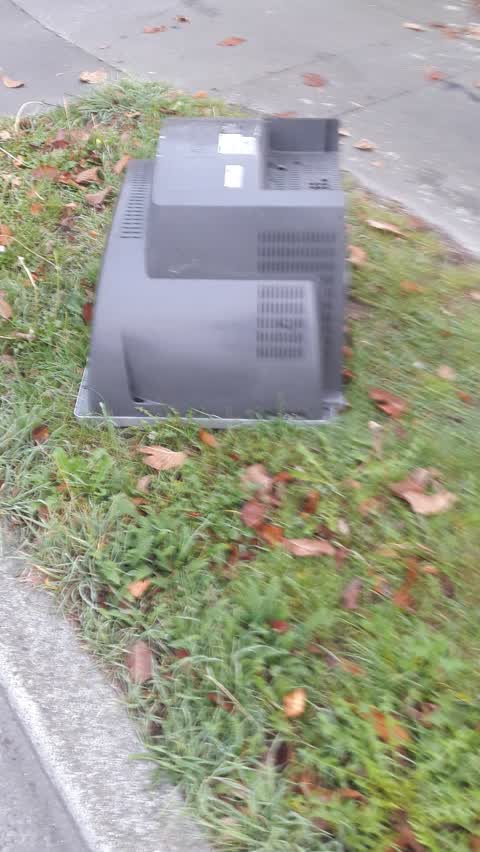 Rubbish/Recycling — a report photo