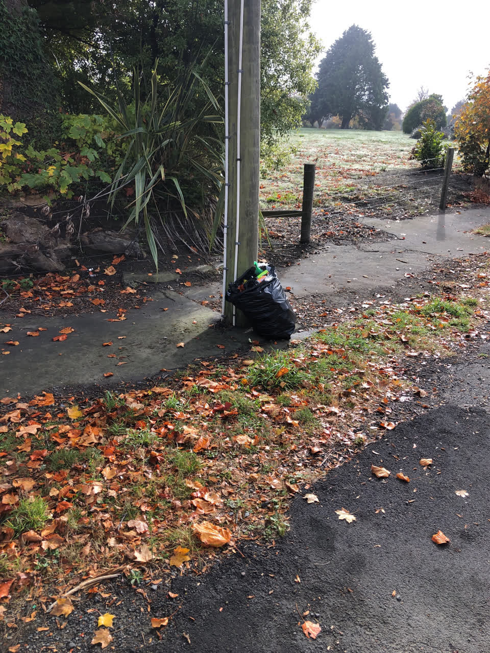 The photograph attached to this rubbish/recycling report