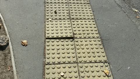 Roading/Streets, a report photo