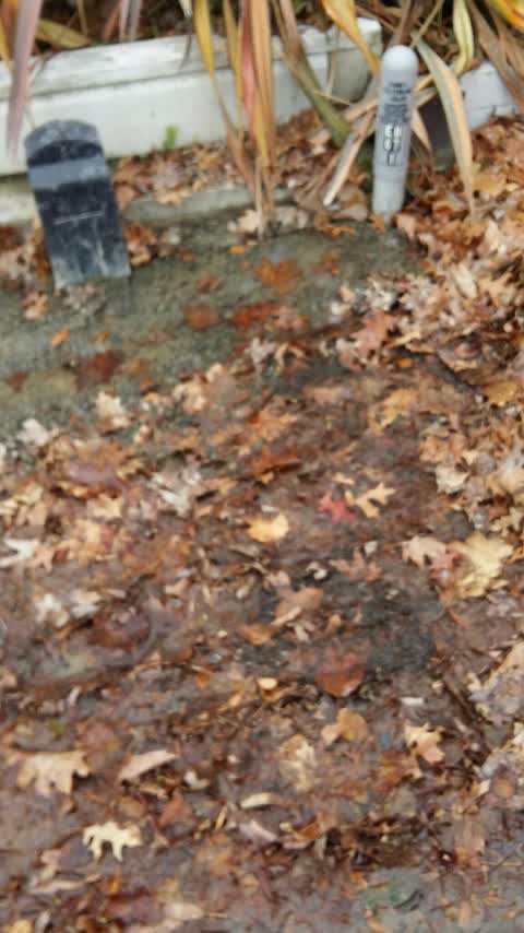 Water Supply, a report photo