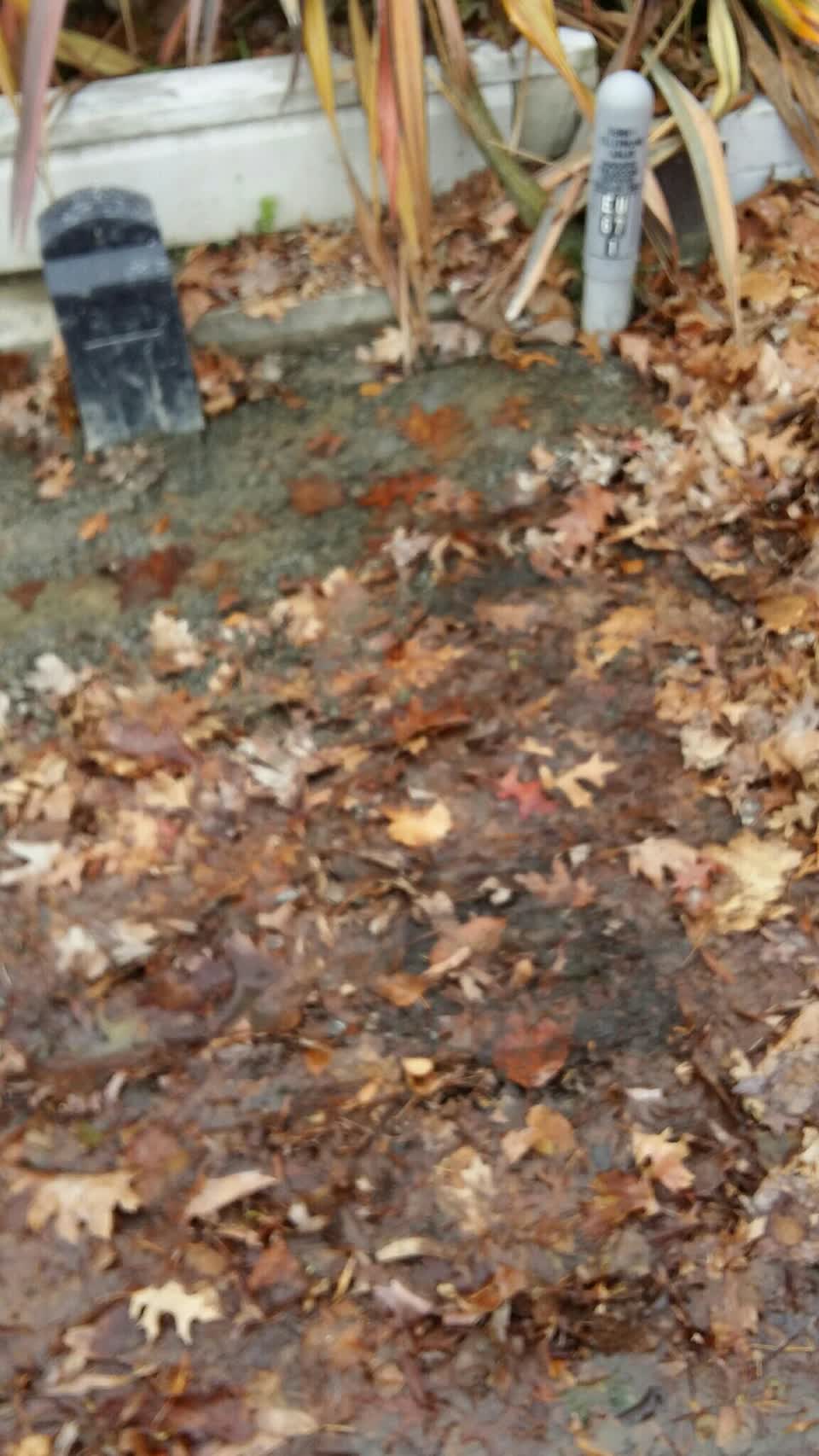 The photograph attached to this water supply report