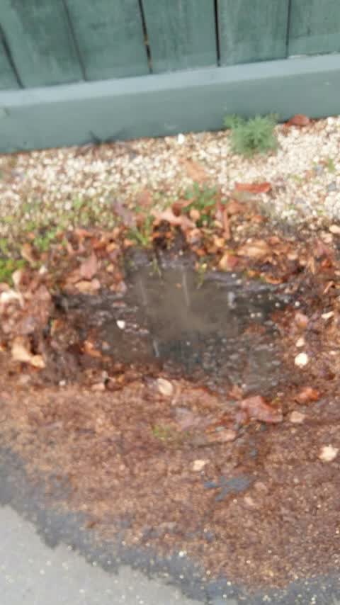 Water Supply, a report photo