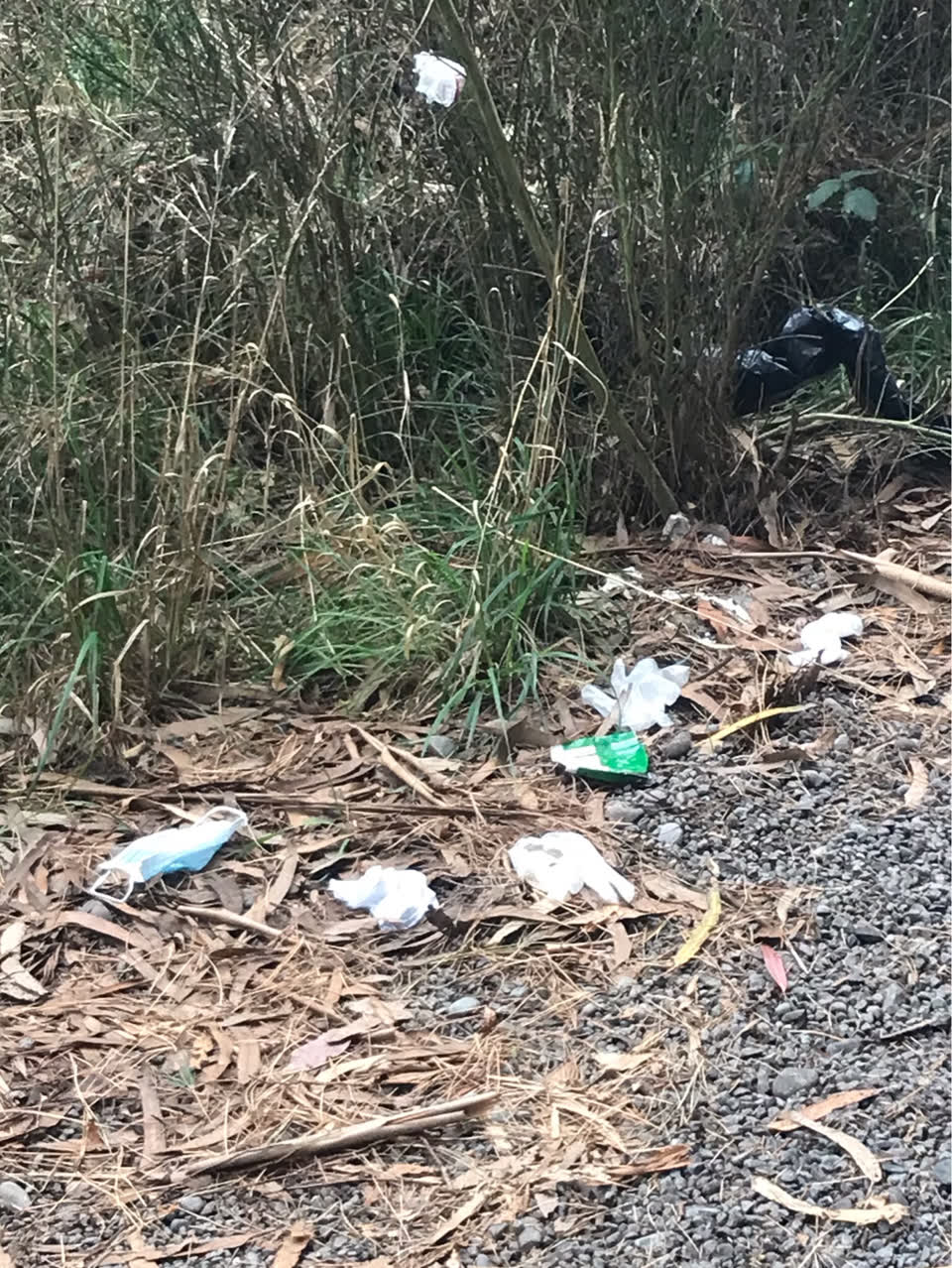 The photograph attached to this rubbish/recycling report