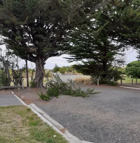 Roading/Streets, a report photo