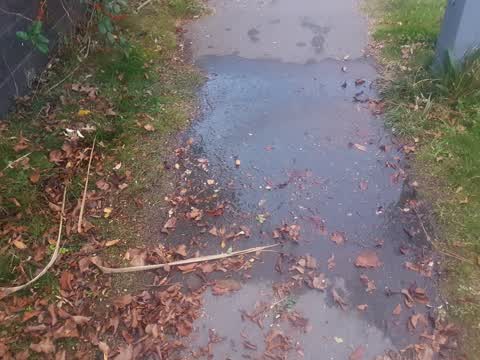 Flooding, a report photo