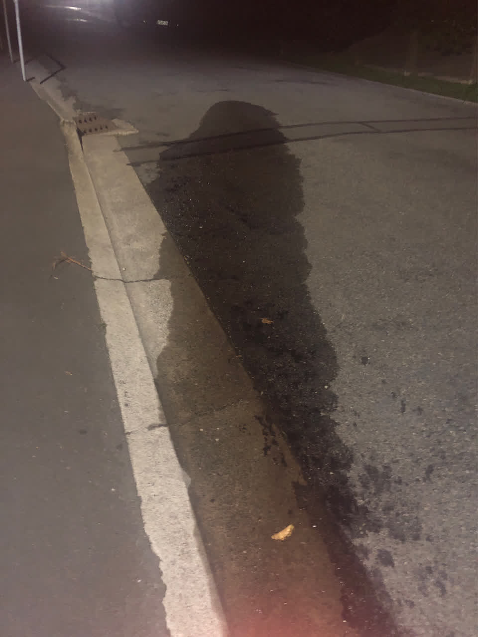 The photograph attached to this water supply report