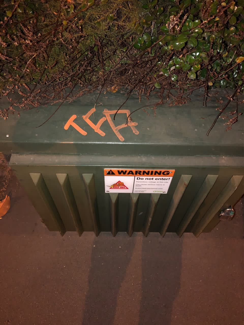 The photograph attached to this graffiti report