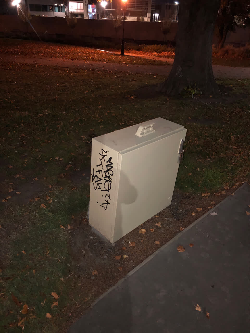 The photograph attached to this graffiti report