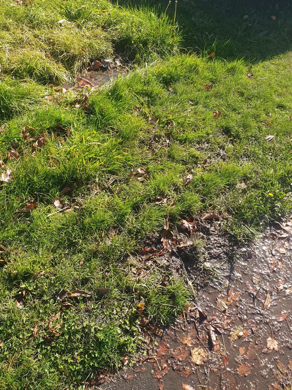 The photograph attached to this wastewater/stormwater report