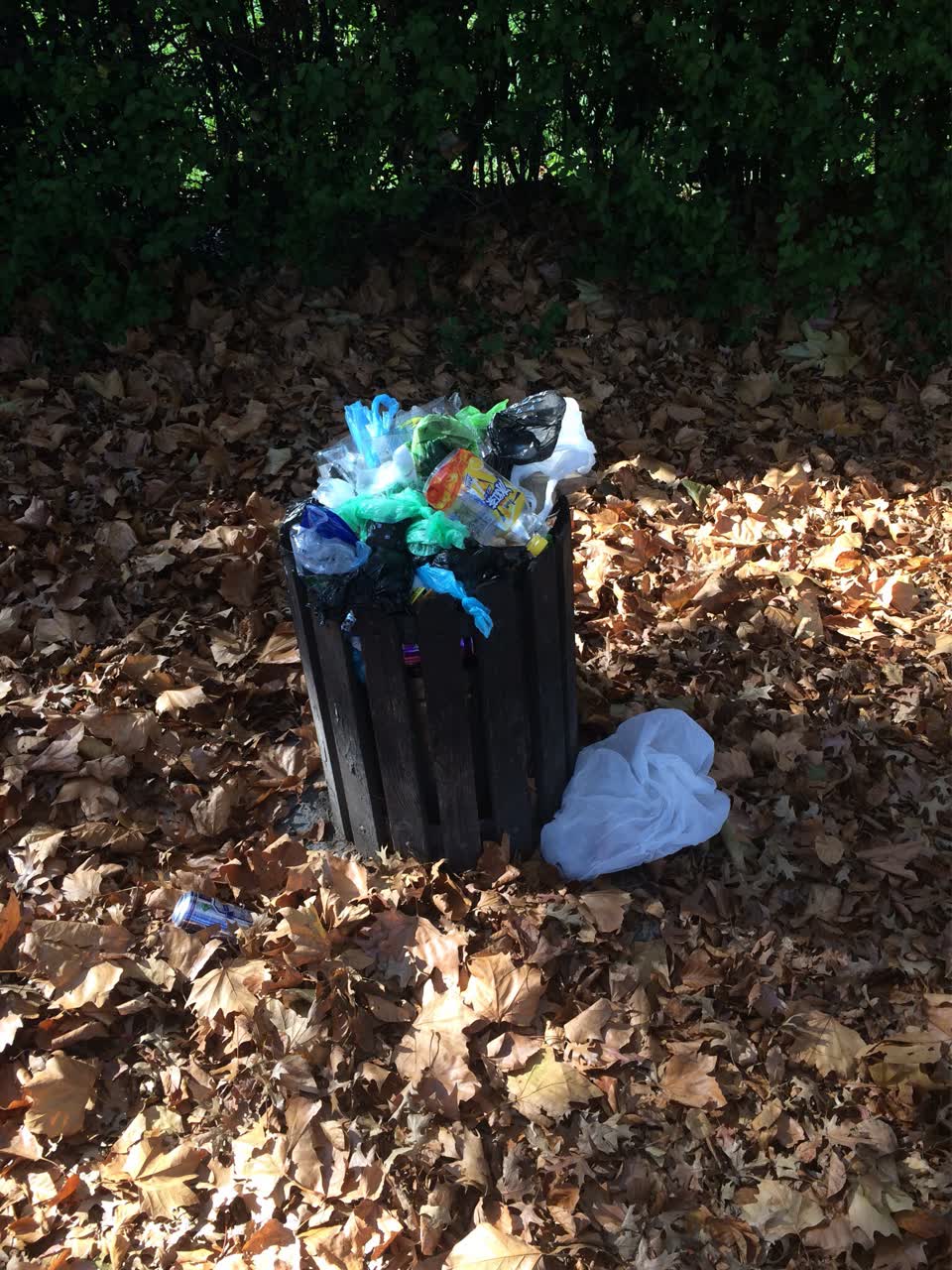 The photograph attached to this parks report
