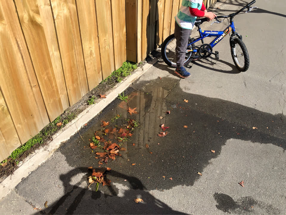 The photograph attached to this water supply report