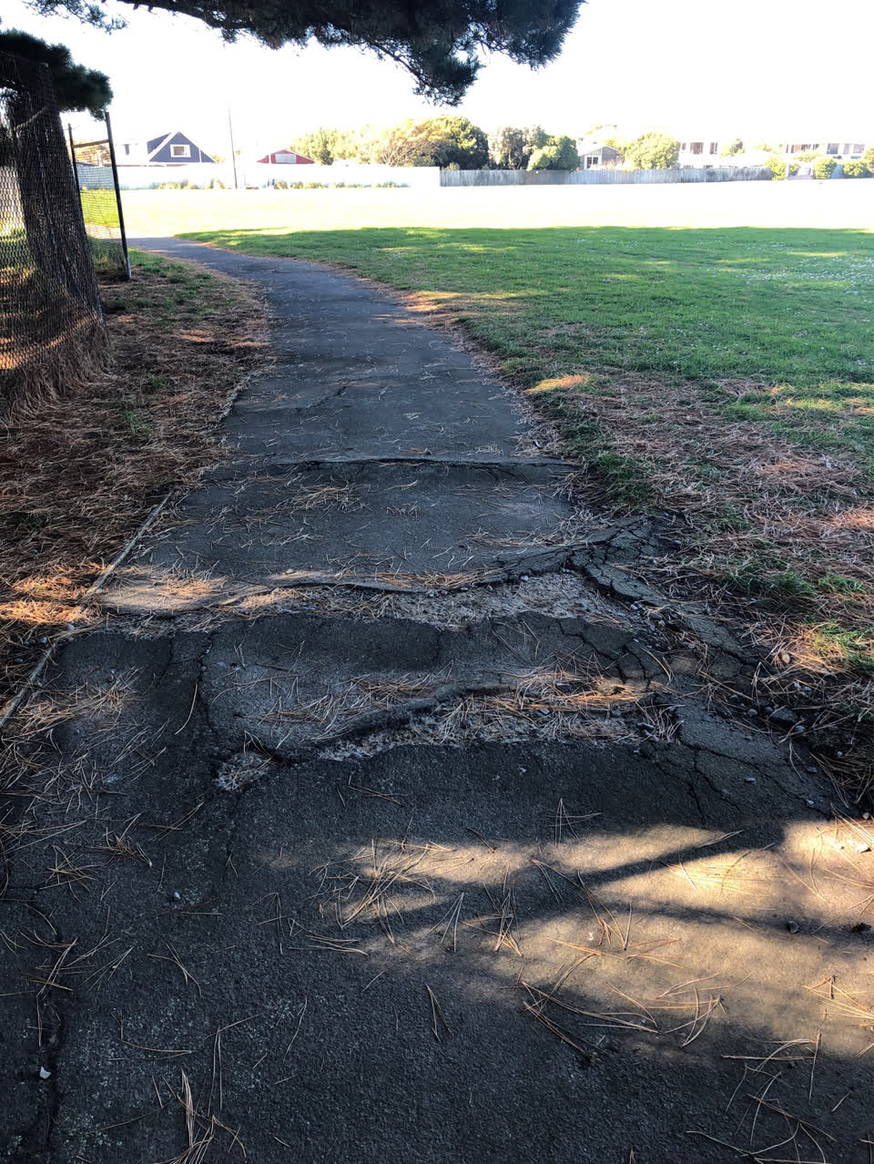 The photograph attached to this parks report
