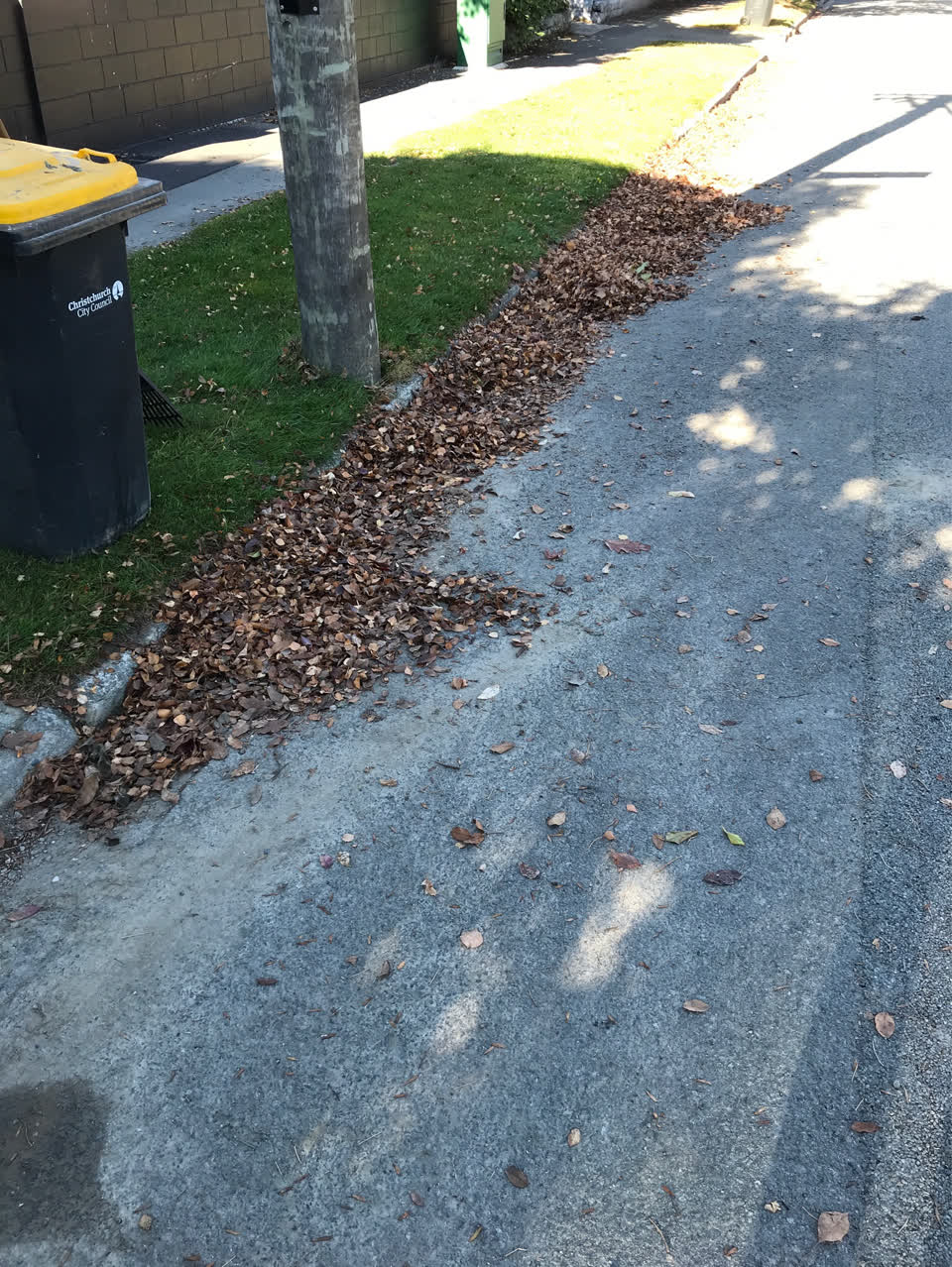 The photograph attached to this roading/streets report