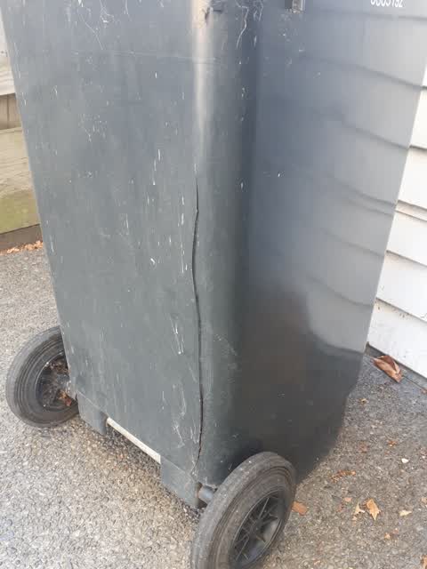 Rubbish/Recycling, a report photo