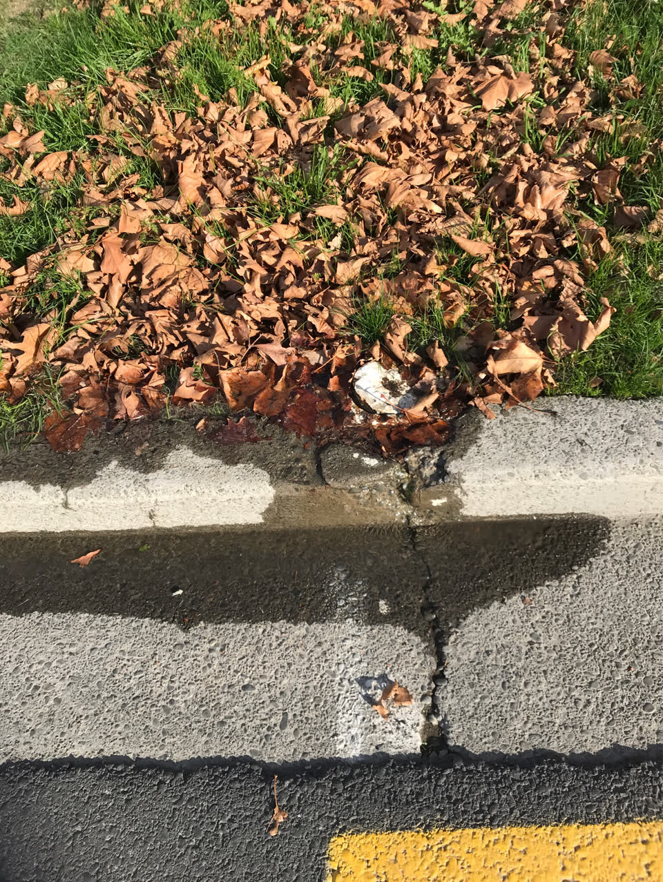 The photograph attached to this water supply report