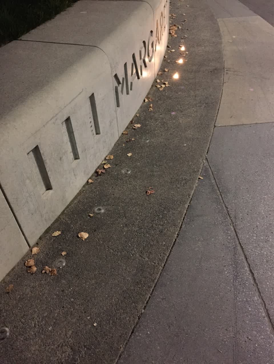 The photograph attached to this parks report