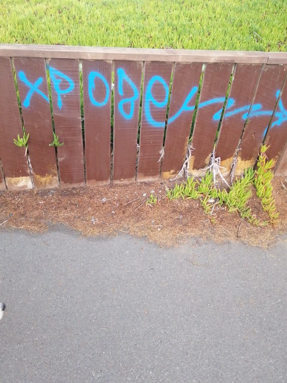 The photograph attached to this graffiti report