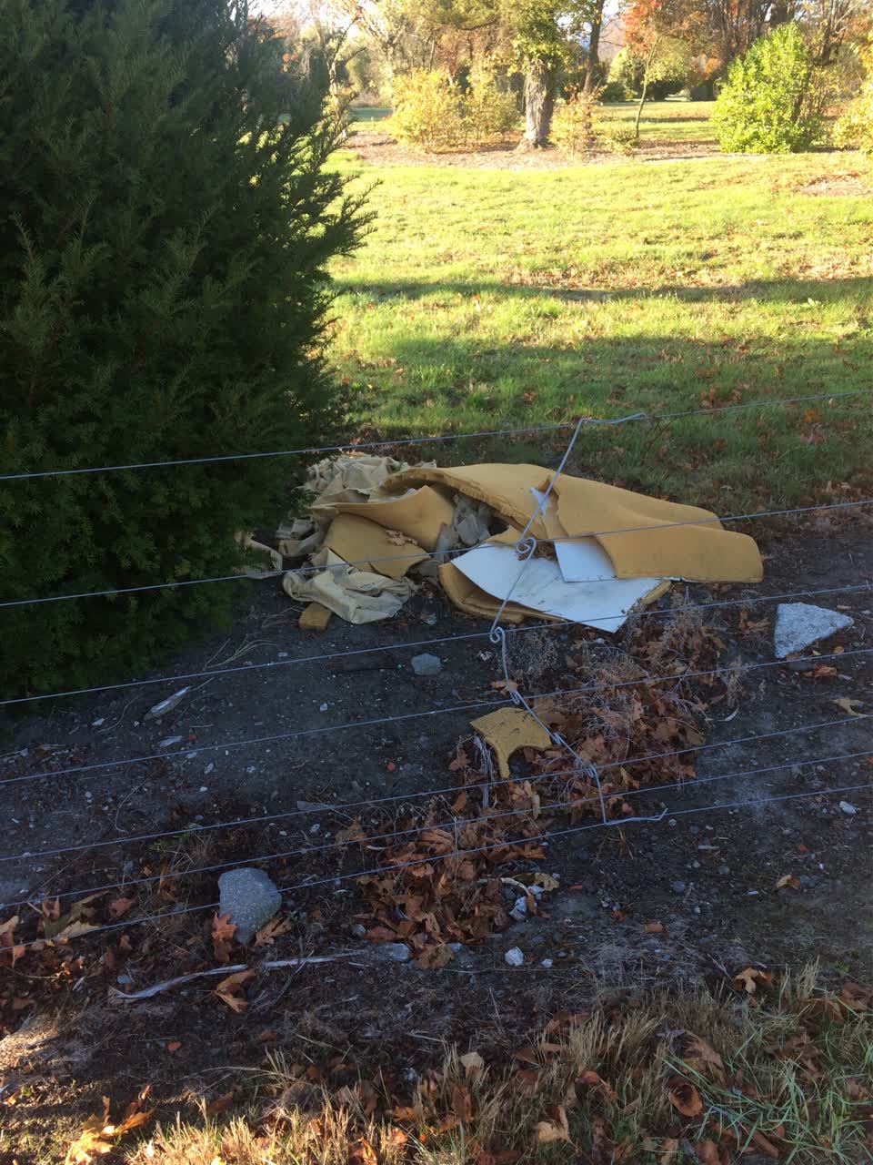 The photograph attached to this rubbish/recycling report