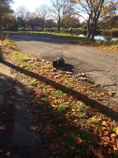 Rubbish/Recycling, a report photo