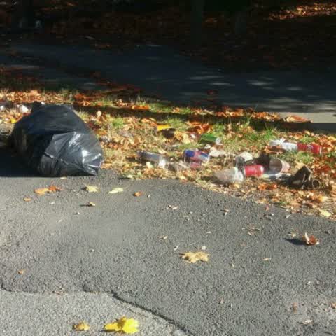 Rubbish/Recycling, a report photo
