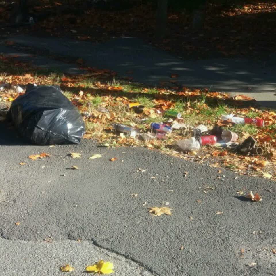 The photograph attached to this rubbish/recycling report